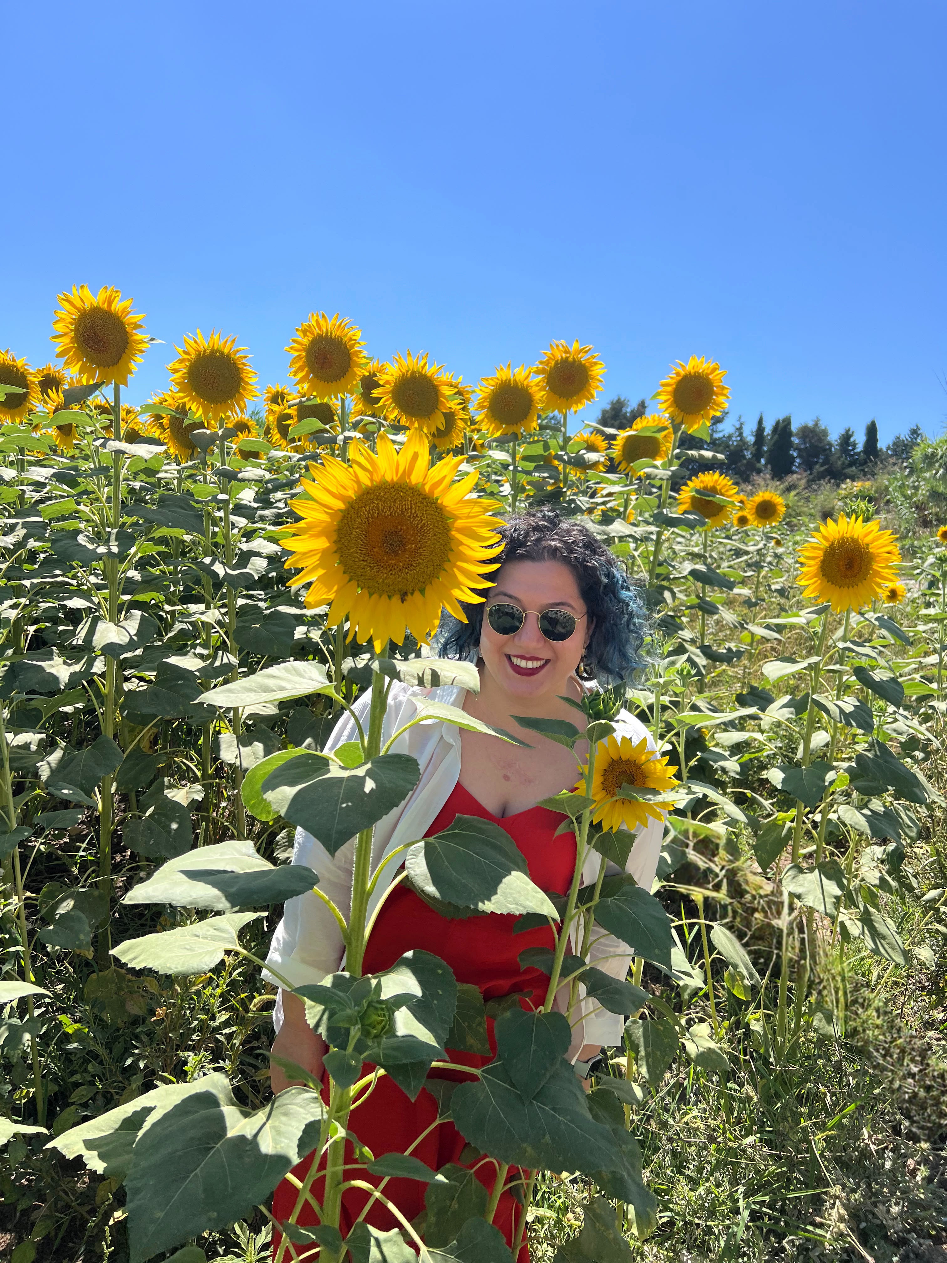 Sevgi Sözer