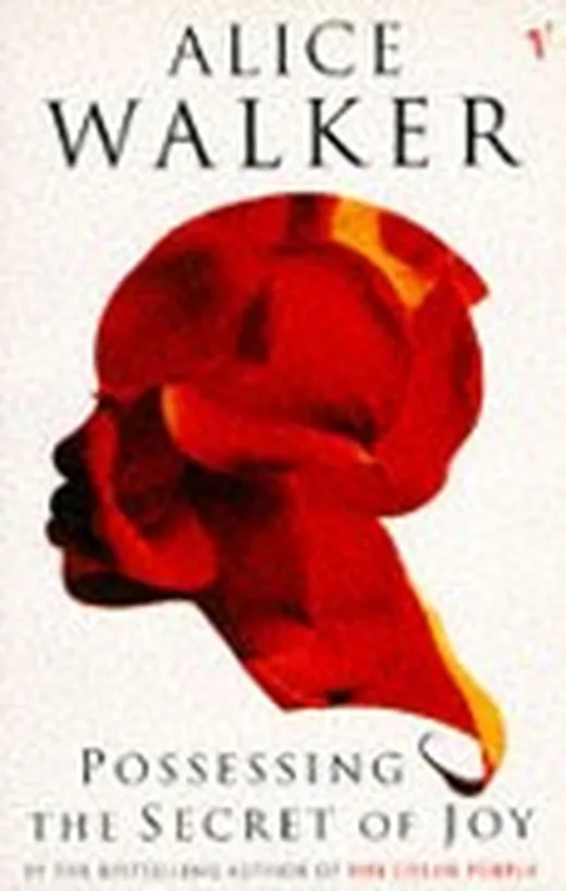 Possessing the Secret of Joy — Alice Walker