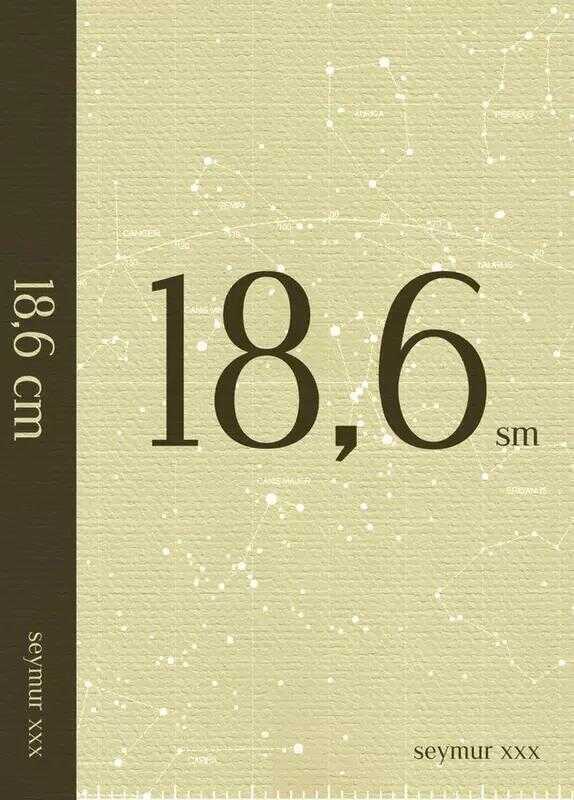 18,6 Sm