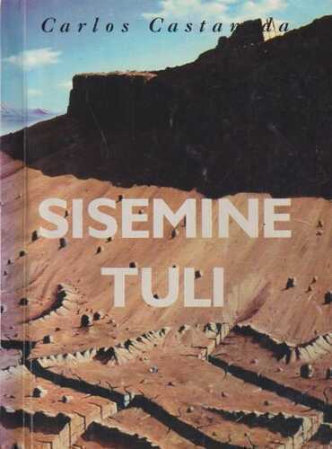 Sisemine Tuli