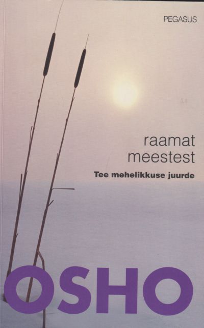 Raamat Meestest