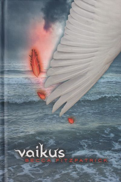 Vaikus