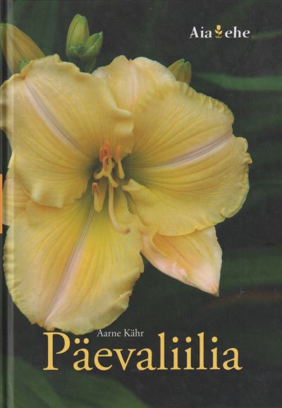 Päevaliilia