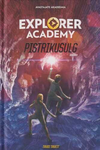 Pistrikusulg