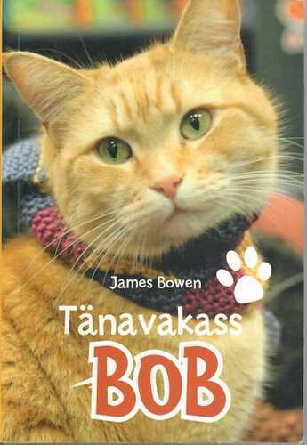 Tänavakass Bob