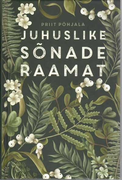 Juhuslike sõnade raamat