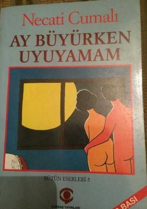 Ay Büyürken Uyuyamam