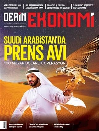 Derin Ekonomi Sayı: 31