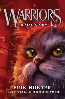 Warriors Cats 4 Rising Storm