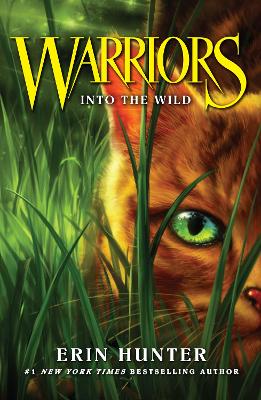 Warrior Cats Into Wild Pb