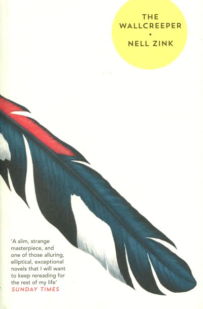 Wallcreeper