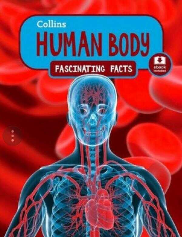 Human Body