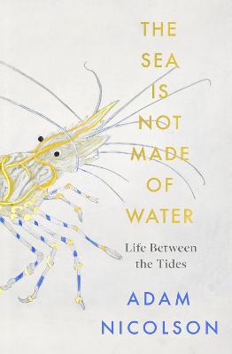 Sea is Not Made of Water