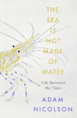 Sea is Not Made of Water