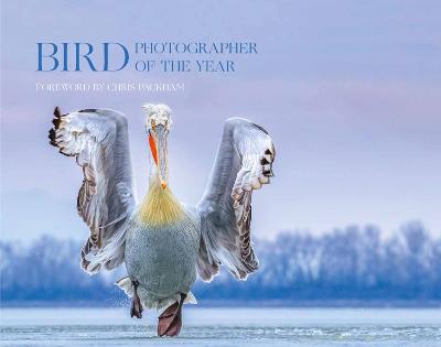 Bird Photographer_bird Phot Hb — Bird Photographer Of The Year