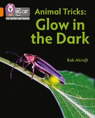 Big Cat L&s_animal Tricks Glow