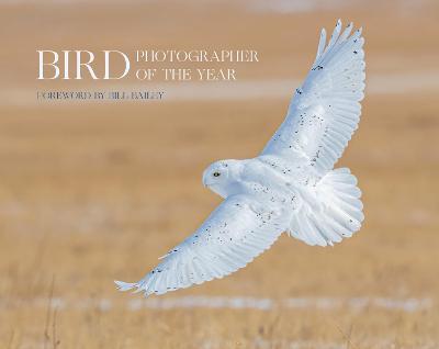 Bird Photographer of the Year — Bird Photographer Of The Year