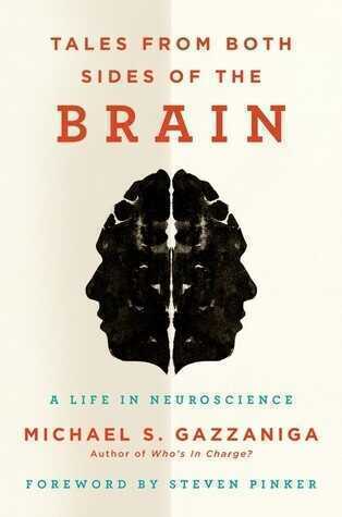 Tales from Both Sides of the Brain