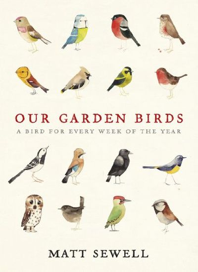 Our Garden Birds