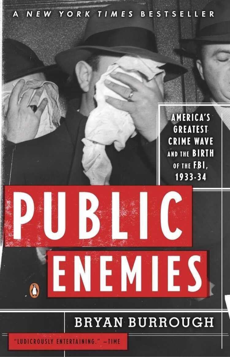 Public Enemies