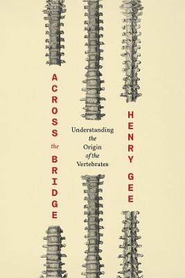 Across the Bridge – Understanding the Origin of the Vertebrates