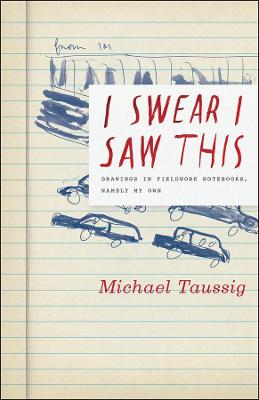 I Swear I Saw This – Drawings in Fieldwork Notebooks, Namely My Own