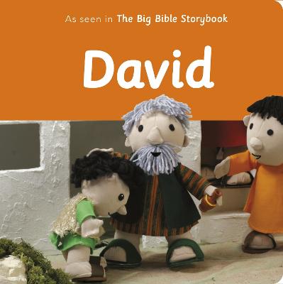 David — Maggie  Barfield (Author)