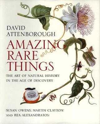 Amazing Rare Things – The Art of Natural History in the Age of Discovery