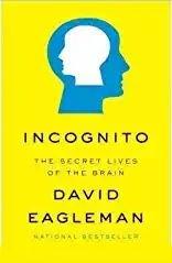 Incognito — David Eagleman