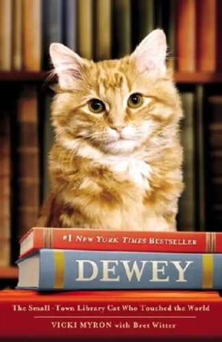 Dewey the Library Cat