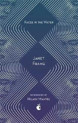 Faces In The Water (Virago Modern Classics, Band 142)