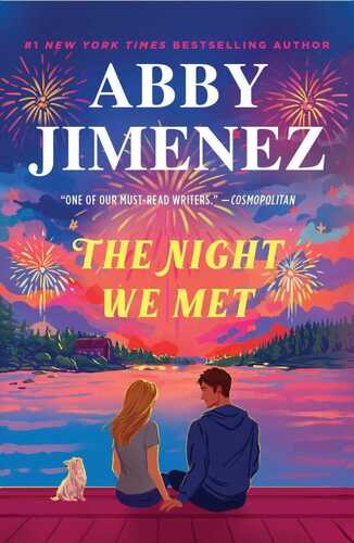 Night We Met