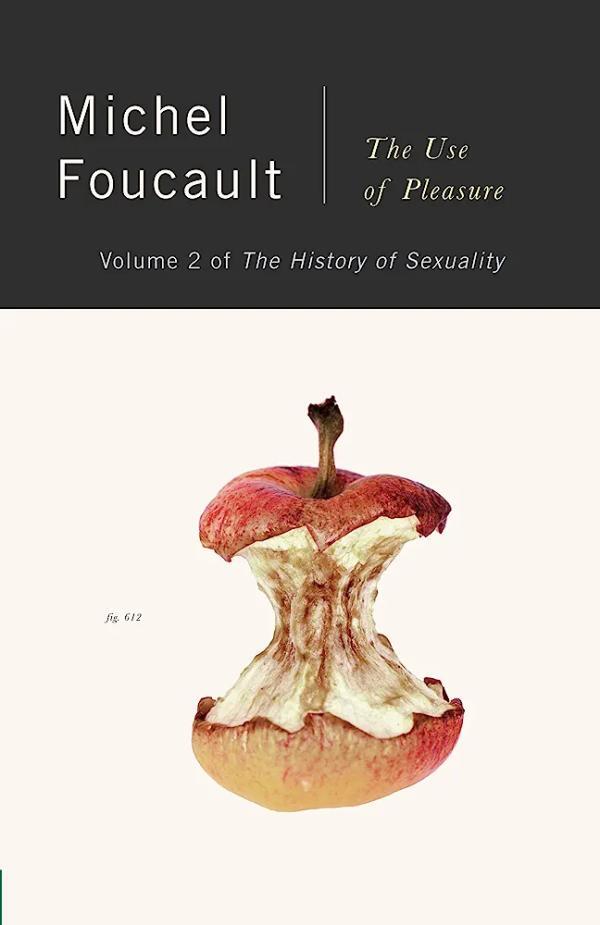 The History of Sexuality Vol. 2: The Use of Pleasure