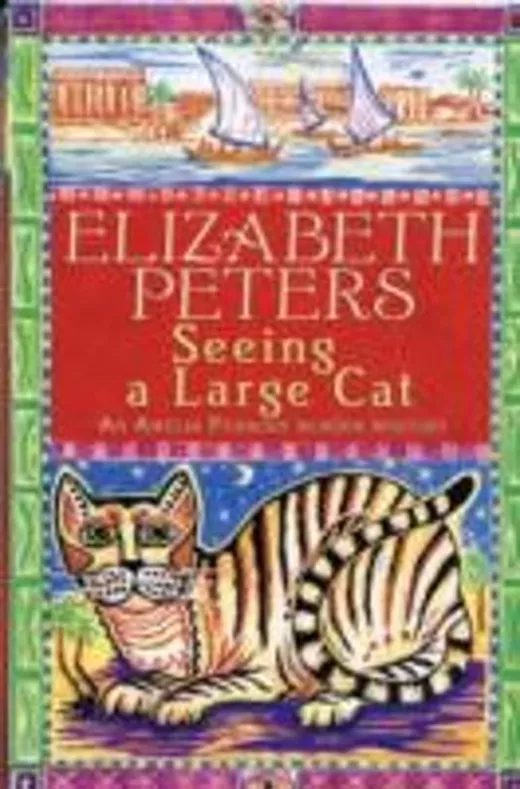 Seeing a Large Cat