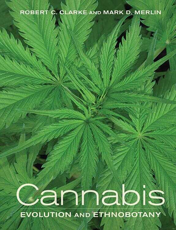 Cannabis — Robert Clarke, Mark Merlin