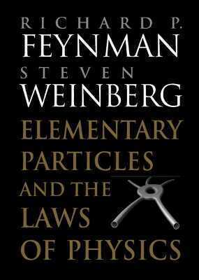 Elementary Particles and the Laws of Physics