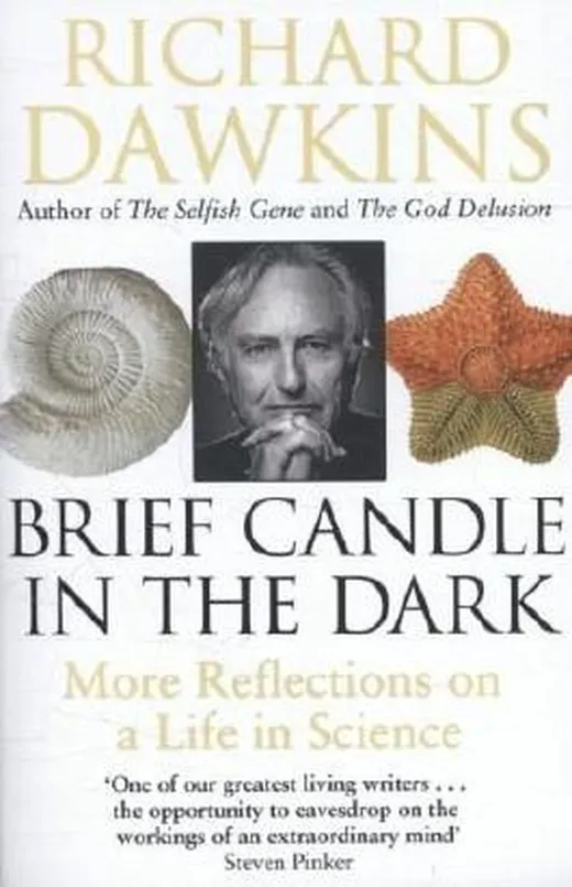 BRIEF CANDLE IN THE DARK (B)