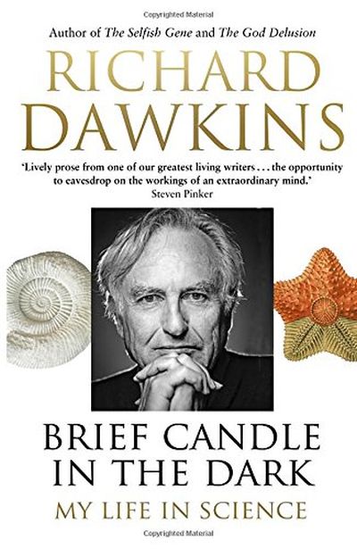 Brief Candle in the Dark