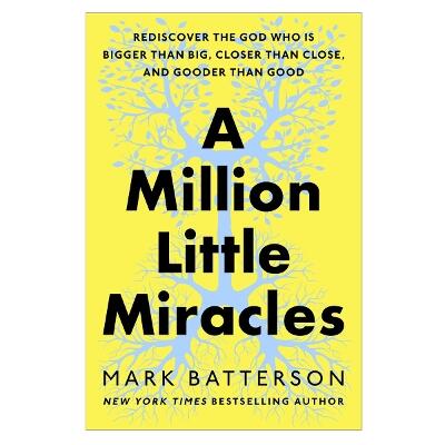 A Million Little Miracles