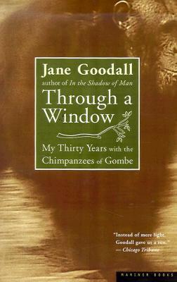 Through a Window