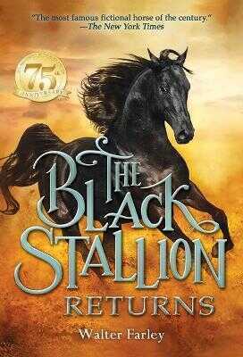 The Black Stallion Returns