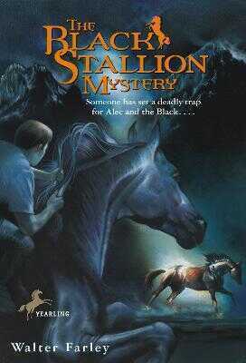 Black Stallion Mystery