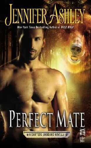Perfect Mate