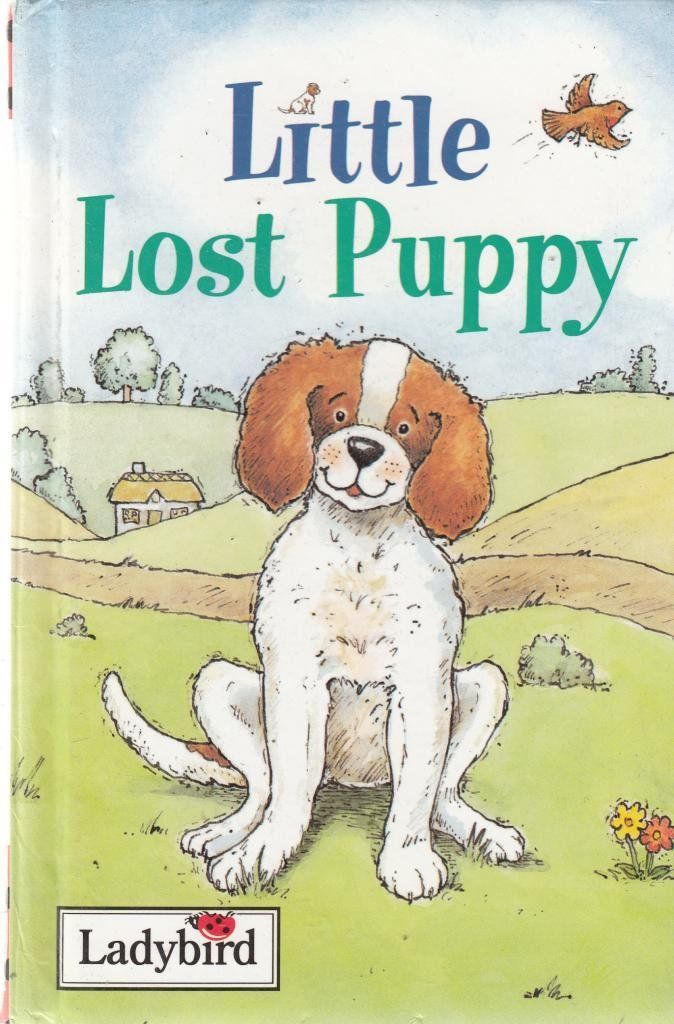 Little Lost Puppy