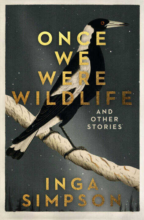 Once We Were Wildlife And Other Stories