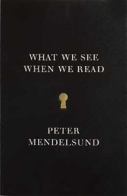 What We See When We Read
