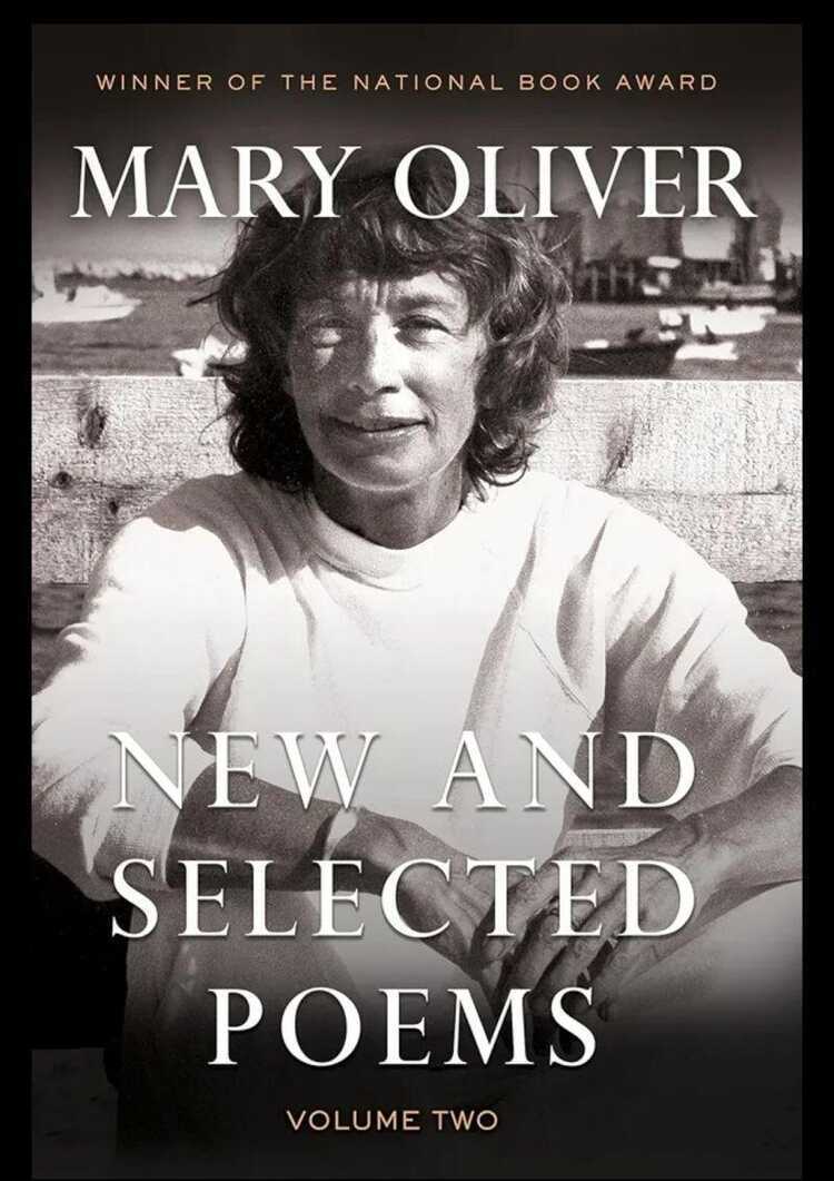 New and Selected Poems, Volume Two