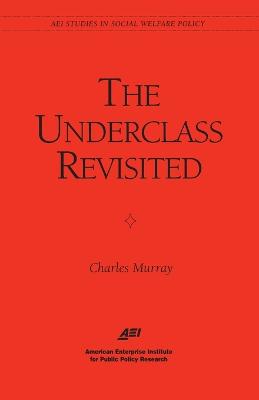 The Underclass Revisited