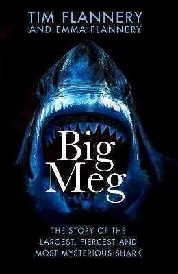 Big Meg
