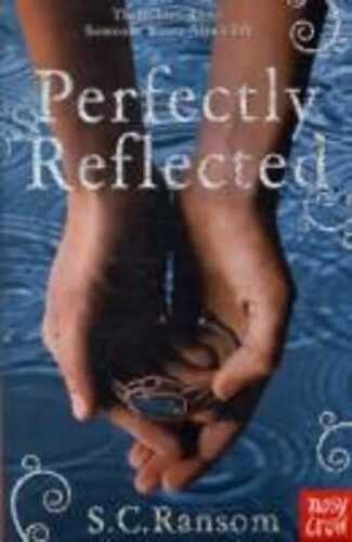 Perfectly Reflected